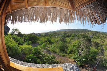 Azuluna Puerto Lopez